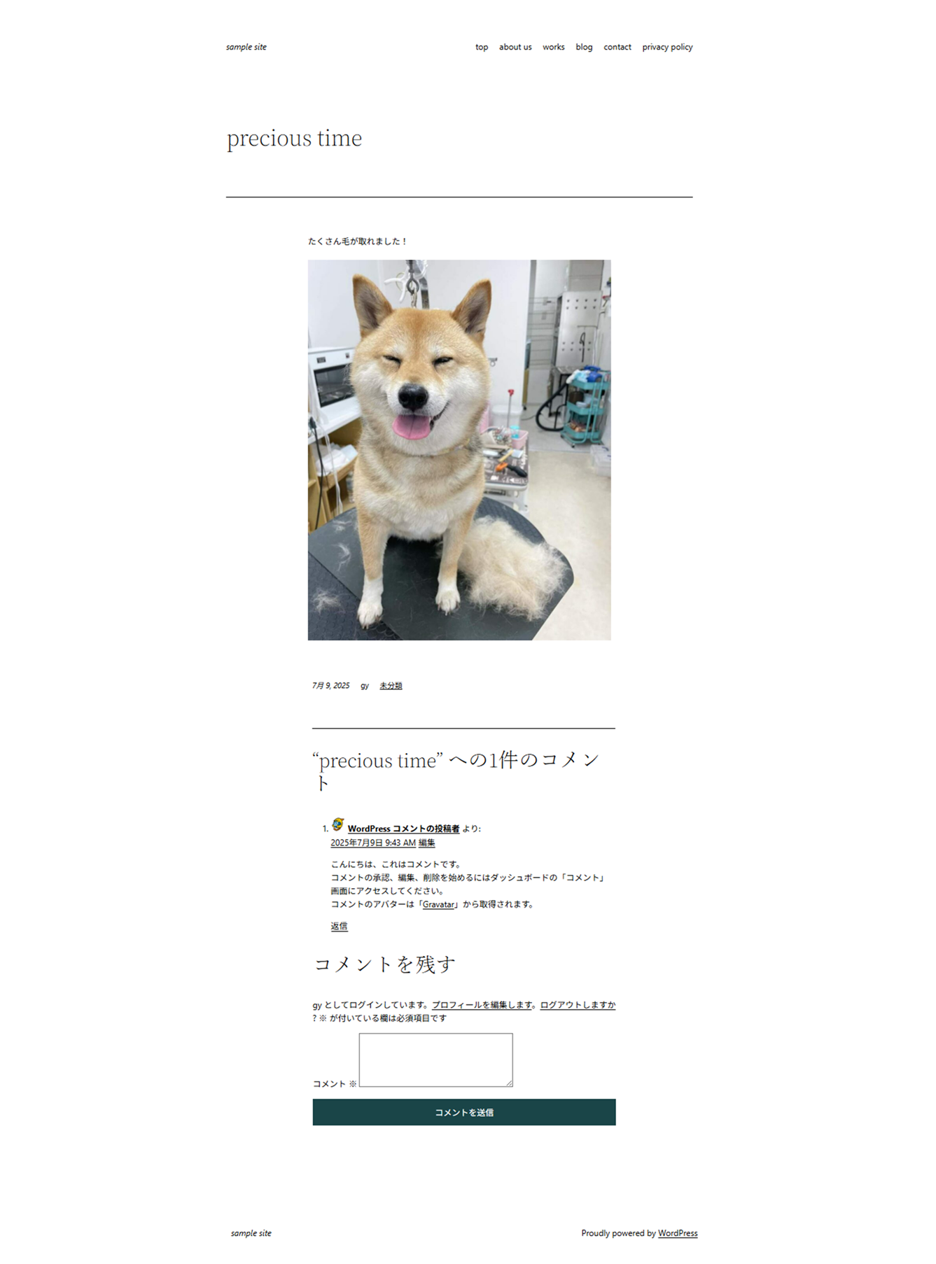 投稿ページ2